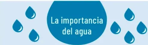 Infografía «La importancia del agua» con gotas azules: el agua sostiene la vida, solo una pequeña parte es potable, nos nutre y desintoxica, usos del agua (aseo, bebida, alimentos, industria, agricultura, turismo), consejos (reparar fugas, denunciar residuos a ríos y lagos) y llamado al consumo responsable.