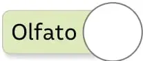 Figura 2 de Ciencias Naturales – Primero Básico | Texto del Estudiante (MINEDUC) – Descargar PDF · 2024