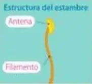 Figura 4 de Ciencias Naturales 5° · Egb 5 Ciencias Naturales 2024 · 2024