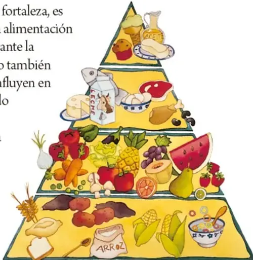 Pirámide alimenticia ilustrada con alimentos de la región: en la base pan, arroz, maíz, tubérculos y leguminosas; en el siguiente nivel frutas y verduras como sandía, uvas, plátano, jitomate y zanahoria; más arriba lácteos, huevo, pescado y carnes; y en la punta aceites, azúcares y alimentos de consumo ocasional.