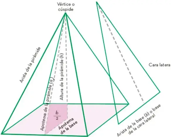 Diagrama de una pirámide de base cuadrada con etiquetas: vértice o cúspide, arista de la pirámide, apotema de la pirámide ($a_p$), altura de la pirámide ($h$), cara lateral, base cuadrada de lado $b$, apotema de la base ($b/2$) y arista de la base; a la derecha, la pirámide vista de lado.