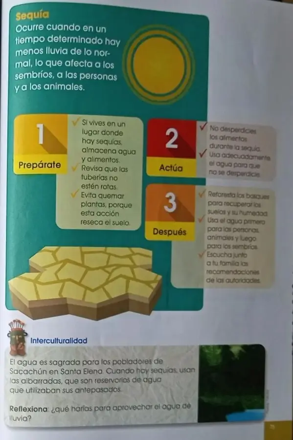 Tres tarjetas numeradas (Prepárate, Actúa, Después) con pasos para erupciones.