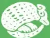 Misma ilustración de la portada en versión monocromática verde: cerebro, esqueleto, microscopio, corazón, ADN, engranajes, montañas, tren y flores.