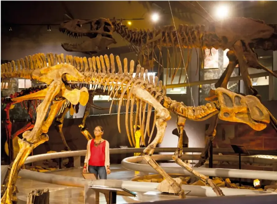 Fotografía del interior de un museo con varios esqueletos de dinosaurios montados y una visita observándolos. Crédito: Francisco Palma Lagunas, Ciudad de México.