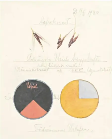 Reproducción de 'Una obra sobre cereales, centeno' (1920) de Hilma af Klint. Boceto con anotaciones manuscritas, tres espigas de centeno y dos círculos coloreados con sectores.