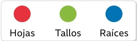 Clave de colores con tres círculos: rojo (Hojas), verde (Tallos) y azul (Raíces).