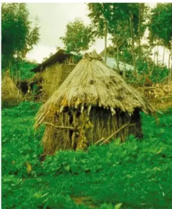 Cabaña circular de paja entre vegetación verde y algunas estructuras de madera, ejemplo típico de cabaña menstrual.