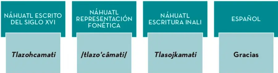 Cuadro comparativo de cuatro recuadros turquesa que muestran la palabra 'gracias' en náhuatl escrito del siglo XVI (Tlazohcamati), náhuatl en representación fonética (/tlazo'câmati/), náhuatl en escritura INALI (Tlasojkamati) y en español (Gracias).