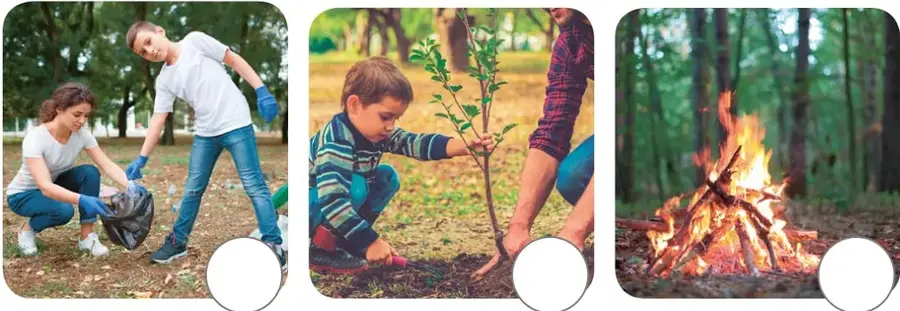 Tres fotografías en fila: personas recogiendo basura en un parque, un niño plantando un árbol y una fogata encendida en el bosque.