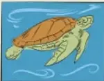 Ilustración de una tortuga marina nadando en el agua.