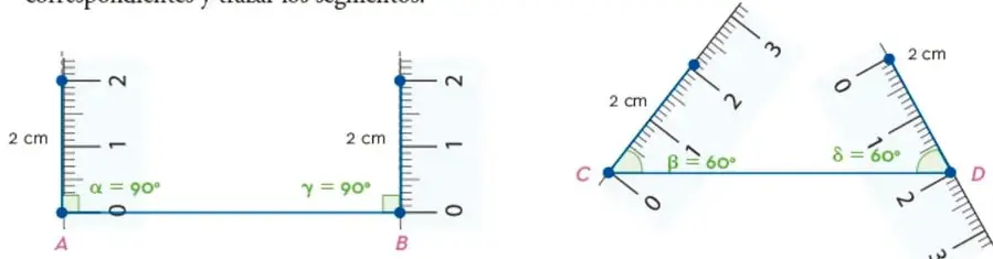 Rectángulo con base AB de 2 cm, ángulos α=90° y γ=90°, y trapecio isósceles con base CD de 2 cm, ángulos β=60° y δ=60°, lados de 2 cm.