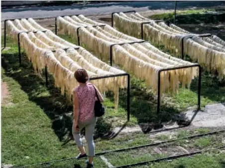 Carretes grandes de madera con hilo de henequén enrollado, en una estructura amarilla y verde.