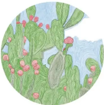 Ilustración circular de un nopal con tunas rojas ante el cielo; obra de Luis Antonio Moreno Aguayo, Sayarit.