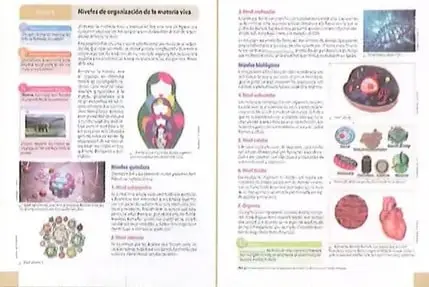 Figura 3 de Ciencias Naturales 8° · Egb 8 Ciencias Naturales 2025 · 2025