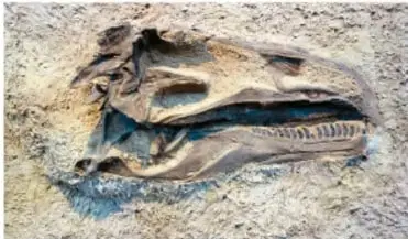 Erupción volcánica con gran columna de humo y lava, ejemplo de causa natural de extinción.