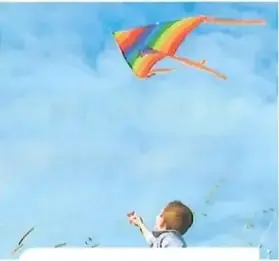 Un niño eleva una cometa en el cielo.
