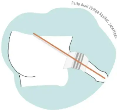Modelo de cartón con palo de madera y clip.