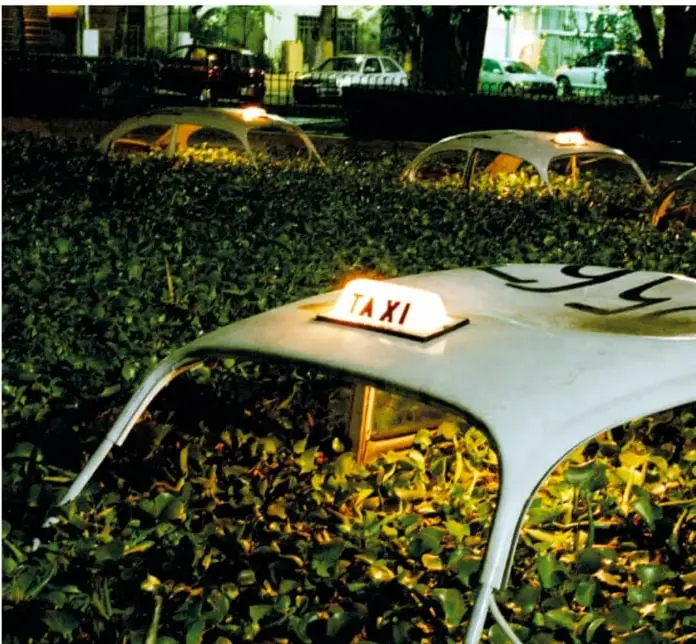 Obra *No todo lo que brilla es verde* (2005): luminarios con forma de techo de taxi con anuncios de 'TAXI' encendidos, colocados entre un seto verde.