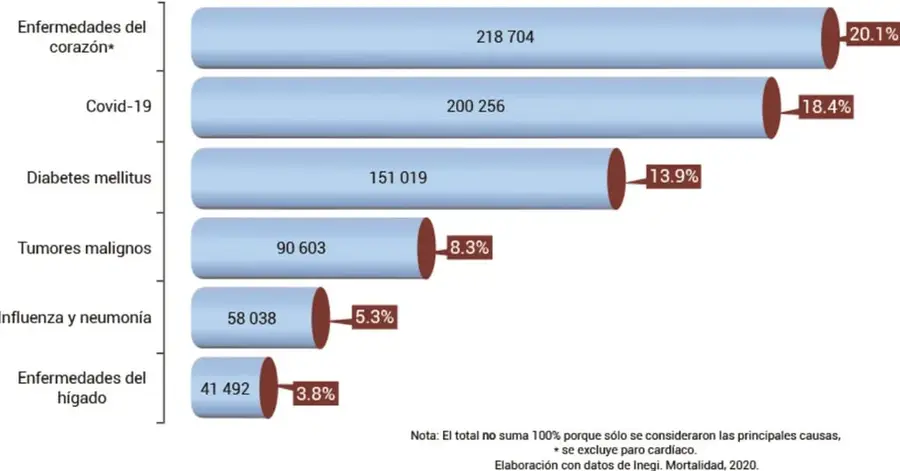 Gráfica de barras horizontales titulada 'Principales causas de mortalidad, 2020', con seis causas ordenadas de mayor a menor y sus porcentajes.
