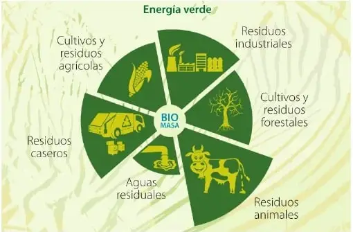 Gráfico circular que muestra como fuentes de biomasa los cultivos y residuos agrícolas, residuos industriales, cultivos y residuos forestales, residuos animales, aguas residuales y residuos caseros.