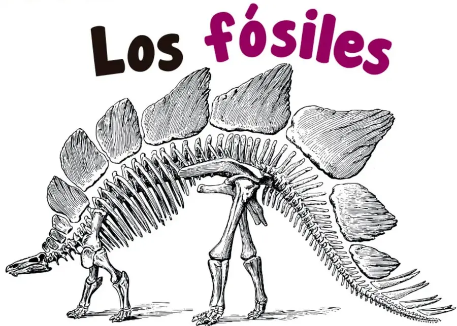 Ilustración en blanco y negro del esqueleto de un estegosaurio con sus placas dorsales, estilo grabado antiguo.