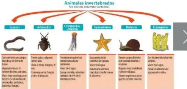 Figura 4 de Ciencias Naturales 5° · Egb 5 Ciencias Naturales 2024 · 2024