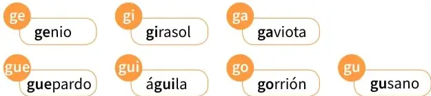 Recuadro con la oración sobre la especie de pingüino y opciones grupo, tamaño, edad.
