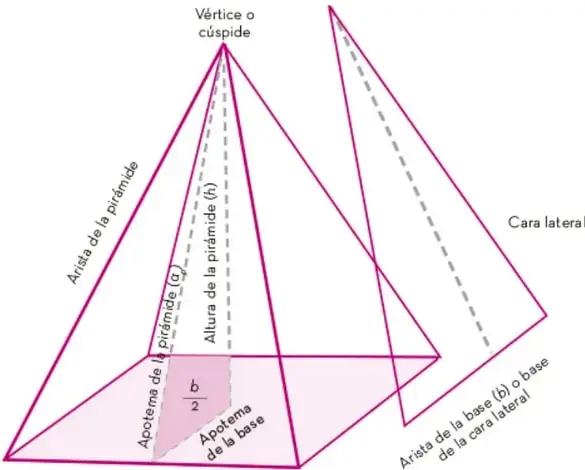 Diagrama de una pirámide de base cuadrada con etiquetas: vértice o cúspide, arista de la pirámide, altura de la pirámide (h), apotema de la pirámide (a_p), apotema de la base, arista de la base (b) o base de la cara lateral, cara lateral y base.