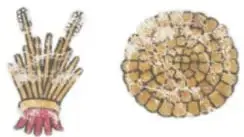 Dos figuras humanas con máscaras y atuendos rituales, una sosteniendo un bastón y otra con un objeto circular.