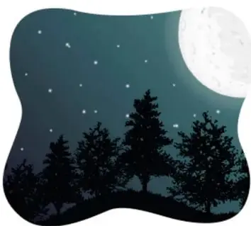 Ilustración nocturna de un bosque de pinos bajo un cielo estrellado con la luna visible, enmarcada en forma orgánica ondulada.