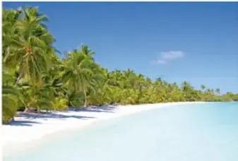 Fotografía de una costa con palmeras, arena blanca y mar azul.