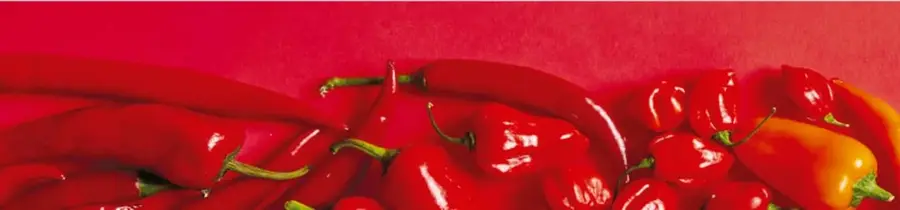 Fotografía de chiles frescos rojos, picosos y brillantes, sobre fondo rojo intenso.