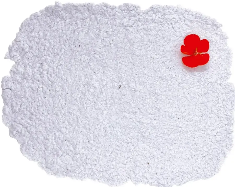 Fotografía de la hoja de papel reciclado ya seca, de textura irregular y blanquecina, decorada con una flor roja en la esquina superior derecha.