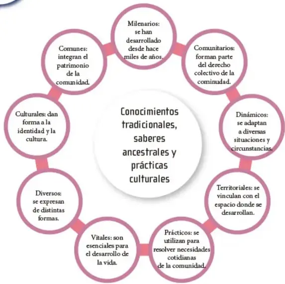 Figura 2 de Nuestros saberes: Libro para alumnos, maestros y familia.   Libro de Educación Primaria Grado 3°  Ciclo Escolar 2025 - 2026