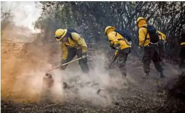 Fotografía de brigadistas de la CONAF con cascos y trajes amarillos combatiendo un incendio forestal entre humo y árboles.