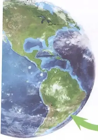 Figura 2 de Ciencias Naturales 8° · Egb 8 Ciencias Naturales 2025 · 2025
