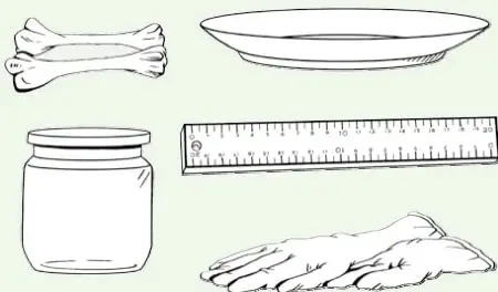 Ilustración de los materiales: dos huesos de pollo, un frasco de vidrio, un plato, una regla y un guante desechable.