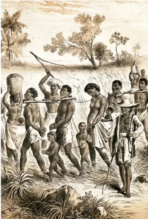 Litografía o grabado histórico del siglo XIX: fila de personas africanas esclavizadas encadenadas por el cuello con yugo de madera y cuerdas, caminando por un paisaje con palmeras y arbustos, custodiadas por un hombre armado con sombrero y bastón.