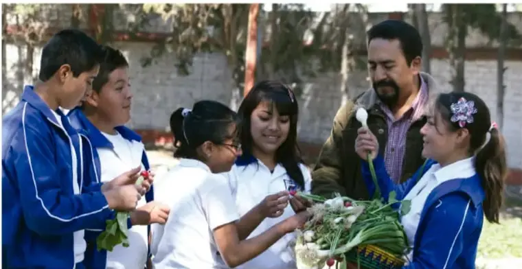 Fotografía de estudiantes de secundaria con uniforme azul y blanco y un adulto observando y manipulando plantas y hortalizas recién cosechadas en un patio escolar con árboles al fondo.