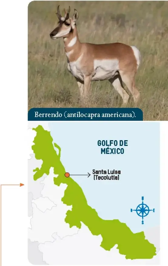 Mapa del Golfo de México con región verde y punto rojo en Santa Luisa (Tecolutla).