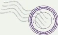 Sello postal con diseño de líneas onduladas.