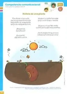 Muestra un proyecto interdisciplinario con una actividad práctica relacionada con el crecimiento de las plantas.