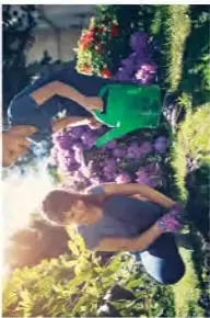 Dos fotografías de árboles: uno sin hojas con el suelo cubierto de hojas caídas y otro con flores blancas y ramas con brotes.