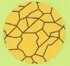 Figura 12 de Ciencias Naturales 6° · Egb 6 Ciencias Naturales 2025 · 2025