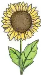 Ilustración de un girasol con pétalos amarillos, centro café, tallo verde y dos hojas.