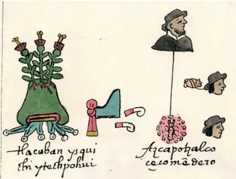 Glifos coloniales: una planta de maíz con raíces, una figura humana y el glifo de Azcapotzalco con un hombre barbado; incluye textos en náhuatl como "Hacuban y aquí" y "Azcapotzalco".