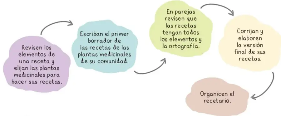 Diagrama de flujo con cinco pasos para elaborar un recetario de plantas medicinales.