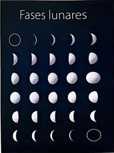 Diagrama detallado de las 8 fases lunares