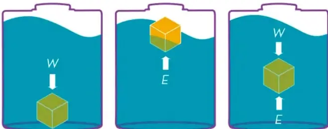 Tres frascos con agua que muestran objetos sumergidos: uno en el fondo (peso mayor), uno flotando (peso menor) y uno en equilibrio (peso igual al empuje).