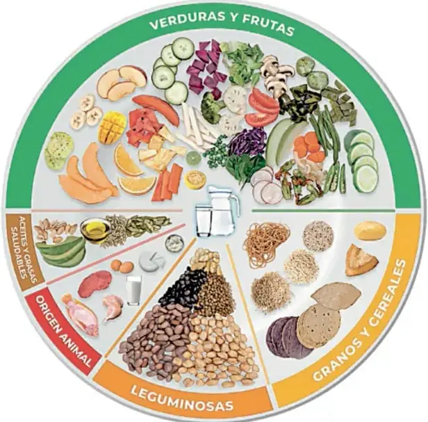 Diagrama circular del Plato del Bien Comer con secciones: Verduras y Frutas (verde, mitad superior), Granos y Cereales (amarillo, derecha), Leguminosas (naranja, inferior), Origen Animal (rojo, izquierda inferior), Aceites y Grasas Saludables (ocre, izquierda), y un vaso de agua en el centro.
